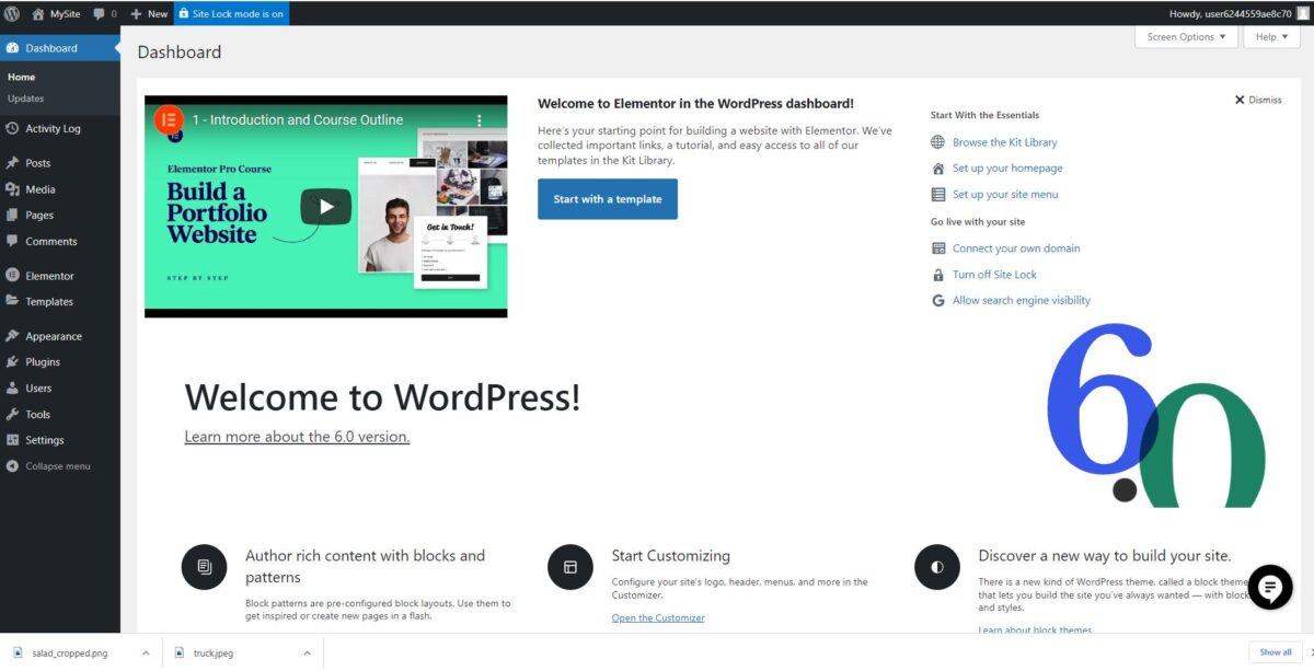 Dashboard of WordPress and Elementor